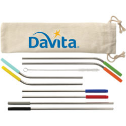 Reusable Stainless Straw 10 in 1 set