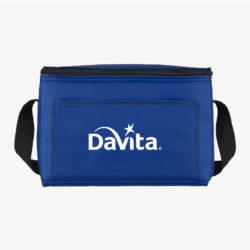 Spectrum Budget 6-Can Lunch Cooler