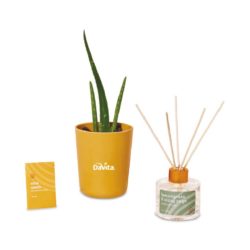 Modern Sprout® Find Balance Take Care Kit – Aloe